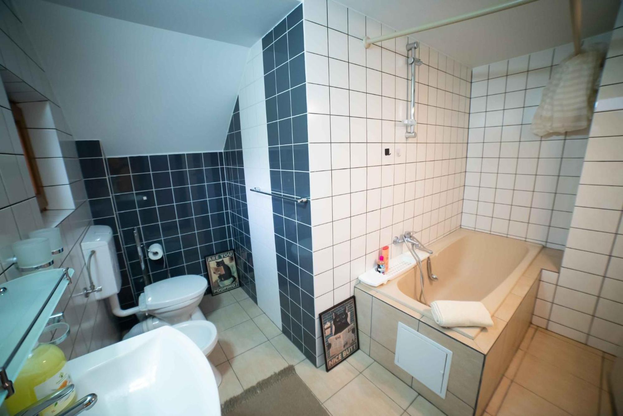 Villa Full-House Si Gradina In Bucovina, Lisaura Extérieur photo